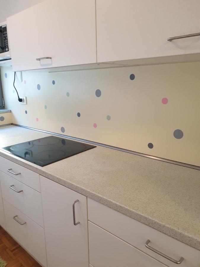 Apartment Emma Ljubljana - Free Parking, Ac, Wifi Eksteriør billede