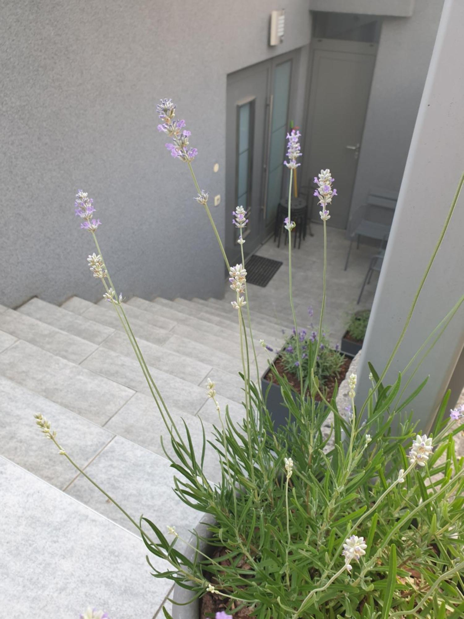 Apartment Emma Ljubljana - Free Parking, Ac, Wifi Værelse billede